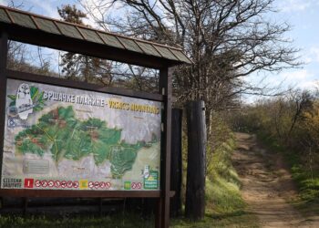 Gradonačelnica Vršca: Naši građani su naša snaga, obećano sprovodimo u dela