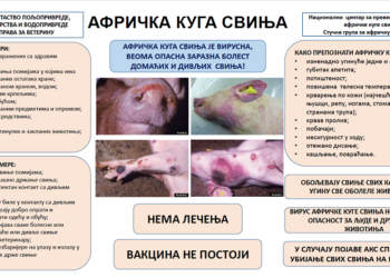 Uprava za veterinu apeluje na uzgajivače svinja