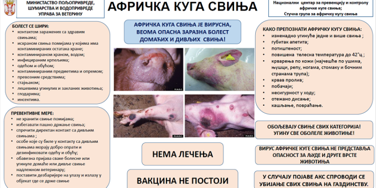 Uprava za veterinu apeluje na uzgajivače svinja