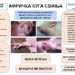 Uprava za veterinu apeluje na uzgajivače svinja