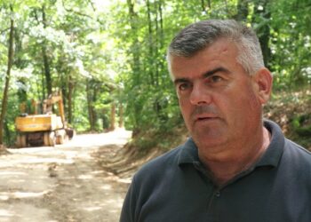 Dnevnik o Gudurici: Putem uz vinograde do banatskog raja