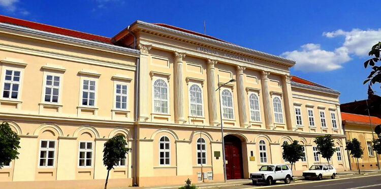 Aktiviran „Vršački đir“ – obilazak Vršačke kule, Gradskog muzeja Vršac i Apoteke na stepenicama