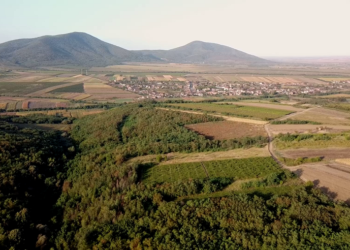 Nikola Kusovac za Novosti: Vršac je srce Kosova!