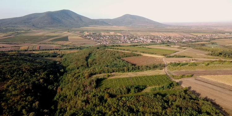 Nikola Kusovac za Novosti: Vršac je srce Kosova!
