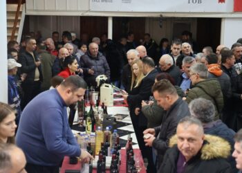 Dani mladih vina u Gudurici: Vinari prikazali plodove svog rada