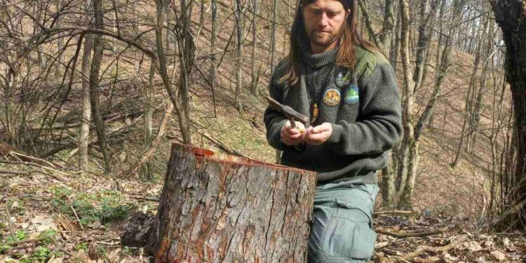 JKP Drugi oktobar: Gnezda za sove na Vršačkim planinama