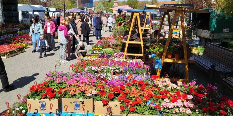 Sajam cveća i meda od 6. do 8. aprila u Vršcu