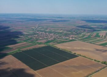 U Beloj Crkvi raspisan oglas za davanje u zakup poljoprivrednog zemljišta u državnoj svojini