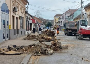 Ulicu Vuka Karadžića krasiće novi neinvazivni drvoredi