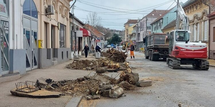 Ulicu Vuka Karadžića krasiće novi neinvazivni drvoredi