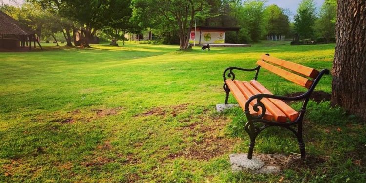 Izletište Devojački Bunar: Zeleni san u evropskoj pustinji