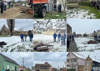 Aktivisti SNS Alibunar pomažu porodicama slabijeg materijalnog stanja