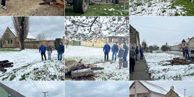 Aktivisti SNS Alibunar pomažu porodicama slabijeg materijalnog stanja