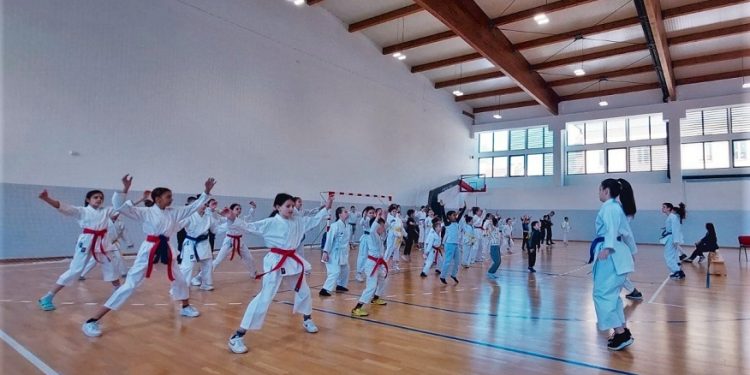 U Beloj Crkvi održan karate turnir