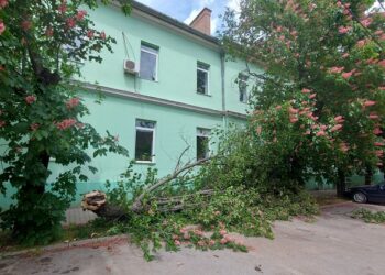 JKP Drugi oktobar: Oprez, jak vetar lomi grane