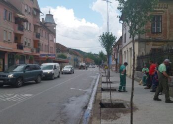 JKP Drugi oktobar: 40 sadnica sibirske višnje od danas krase ulicu Vuka Karadžića