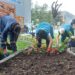 JKP Drugi oktobar: Služba zelenila spremila 30000 sadnica sezonskog cveća