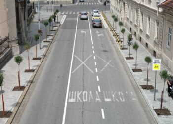 JKP Drugi oktobar: Građani, očuvajmo nove sadnice u ulici Vuka Karadžića