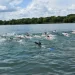Dominacija KPA “Bela Crkva” na plivačkom maratonu