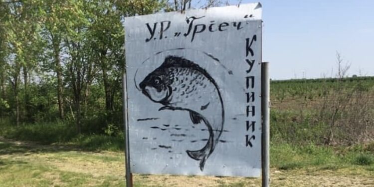 Memorijalni turnir u pecanju na plovak “Petar Buzarević Pero” 25. juna u Kupiniku