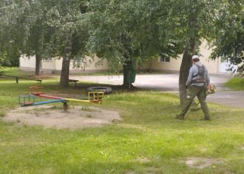 JP Polet Plandište uređuje javne površine u naselju Miletićevo