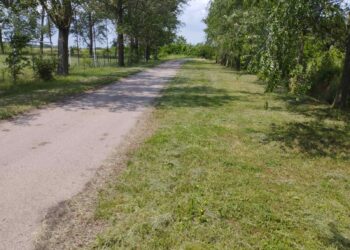 JP Polet Plandište izvodi radove na održavanju javnih površina i bankina