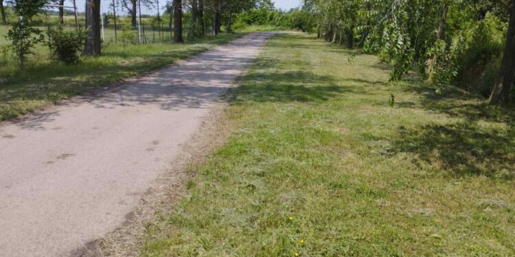 JP Polet Plandište izvodi radove na održavanju javnih površina i bankina