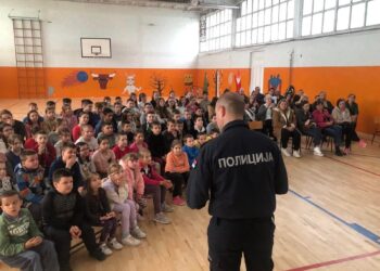 Plandište: Organizovana tribina “Bezbedno korišćenje interneta i društvenih mreža”