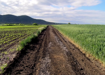 Vršac dobio 12.5 miliona dinara za uređenje atarskog puta do Keveriša