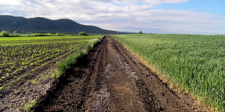 Vršac dobio 12.5 miliona dinara za uređenje atarskog puta do Keveriša