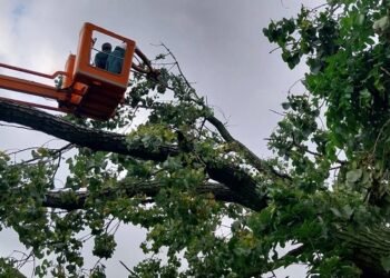 JKP Drugi oktobar: Zbog udara groma nema vode na bregu