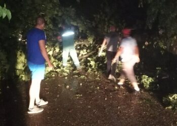 JKP Drugi oktobar: Sanirane posledice sinoćne oluje