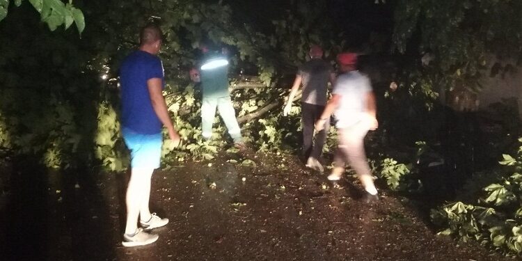 JKP Drugi oktobar: Sanirane posledice sinoćne oluje