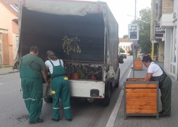 JKP Drugi oktobar: Fotinije i petunije dodatno ukrasile ulicu Vuka Karadžića
