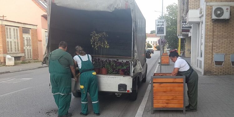 JKP Drugi oktobar: Fotinije i petunije dodatno ukrasile ulicu Vuka Karadžića