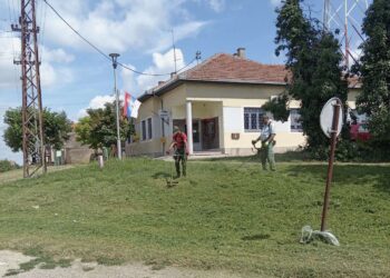 JP Polet Plandište: Uređivanje zelenih površina u punom kapacitetu