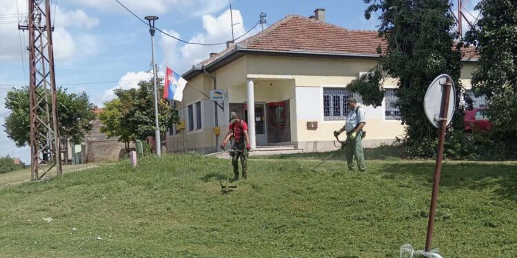 JP Polet Plandište: Uređivanje zelenih površina u punom kapacitetu