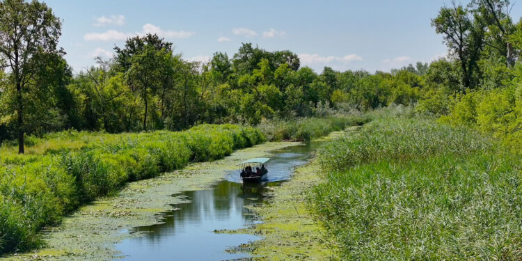 Specijalni rezervat prirode “Carska bara” kod Zrenjanina mesto za prave ljubitelje prirode