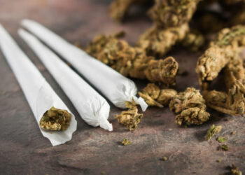 Na graničnim prelazima Vatin i Kaluđerovo kod stranaca pronađena marihuana