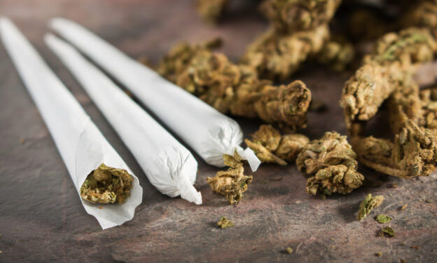 Na graničnim prelazima Vatin i Kaluđerovo kod stranaca pronađena marihuana