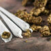 Na graničnim prelazima Vatin i Kaluđerovo kod stranaca pronađena marihuana