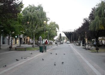 Da utvrdimo gradivo: Ovako rade vršački komunalci!