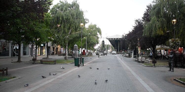 Da utvrdimo gradivo: Ovako rade vršački komunalci!