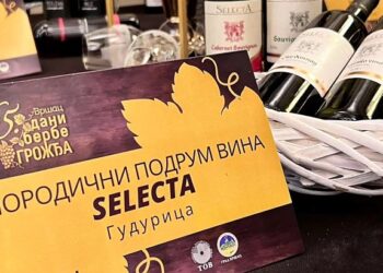 Otvorena izložba grožđa, voća i vina u Gradskoj kući u Vršcu