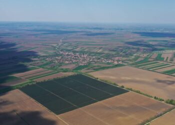 U Beloj Crkvi raspisan oglas za davanje u zakup poljoprivrednog zemljišta u državnoj svojini