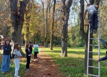 Dečja Nedelja: Učenici škola u Vršcu upoznaju ptice i brinu o životinjama