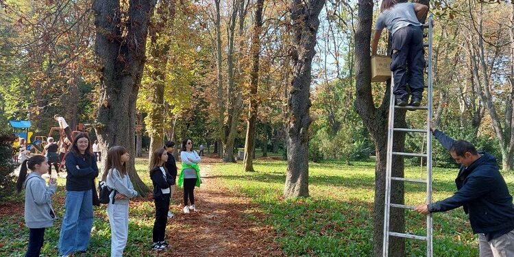 Dečja Nedelja: Učenici škola u Vršcu upoznaju ptice i brinu o životinjama