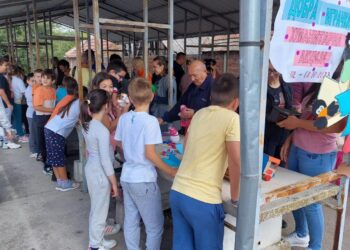 Humanitarni bazar učenika iz Velike Grede i Miletićeva