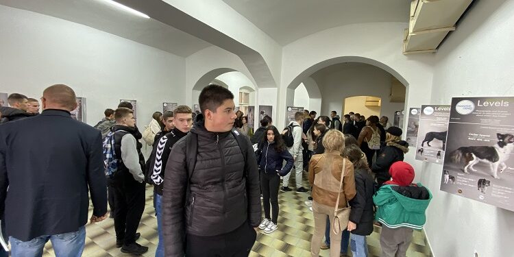 Izložba „DNK refleksija“ otvorena u vršačkom Domu vojske