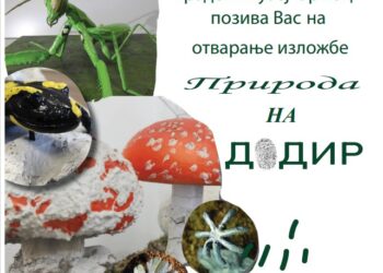 Crnogorska izložba „Priroda na dodir“ u Gradskom muzeju Vršca